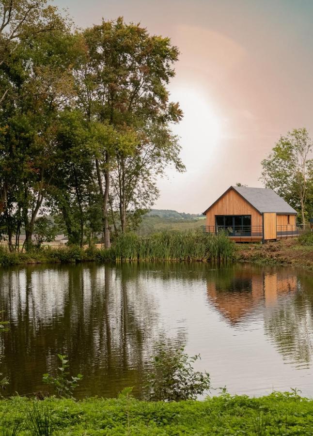 Les Pavillons De La Libellule Villa Beauraing Eksteriør bilde